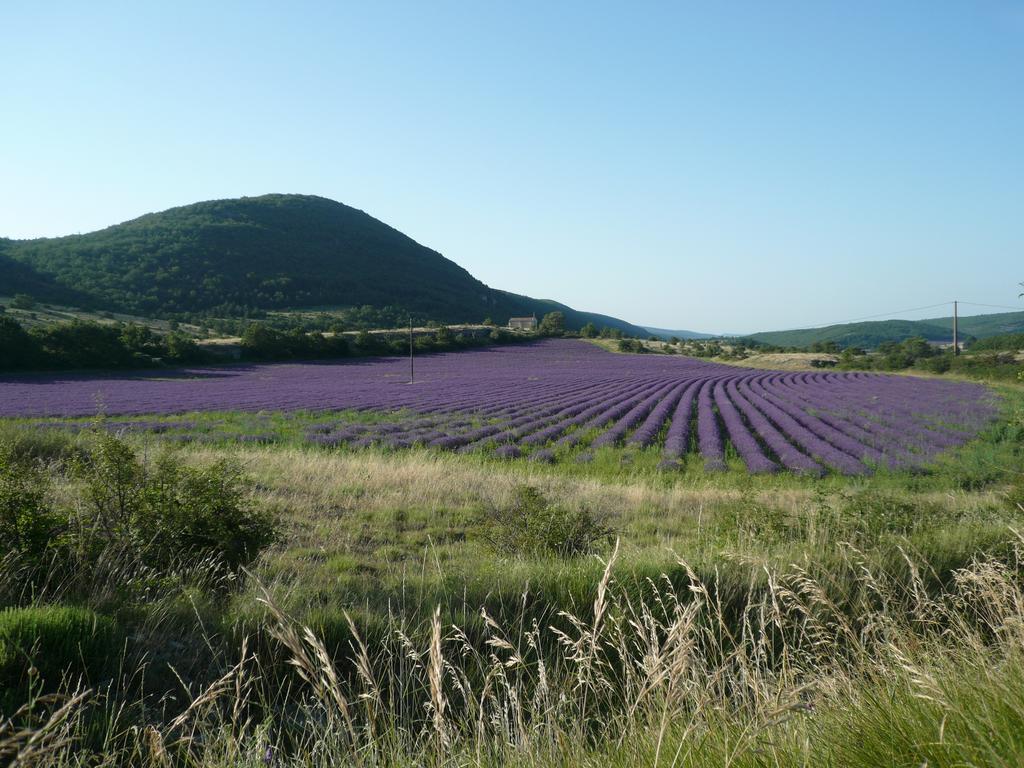 La Grange De La Lavande Lardiers Экстерьер фото